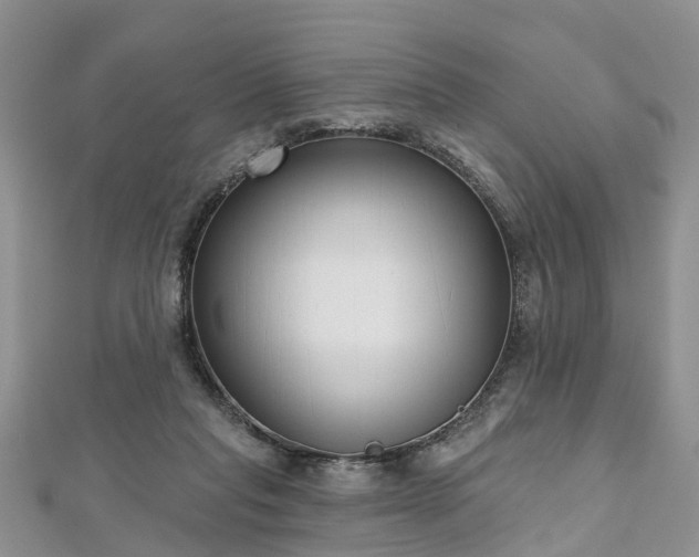 X0000112480261200908241300