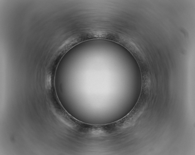 X0000112480262200908241300