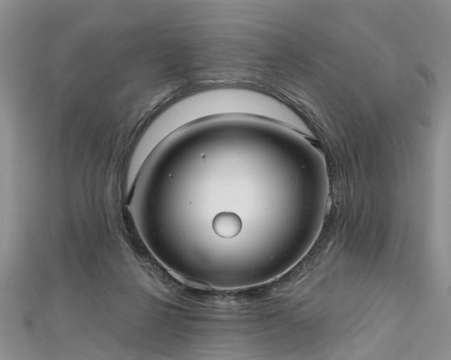 X0000112480264200908241300