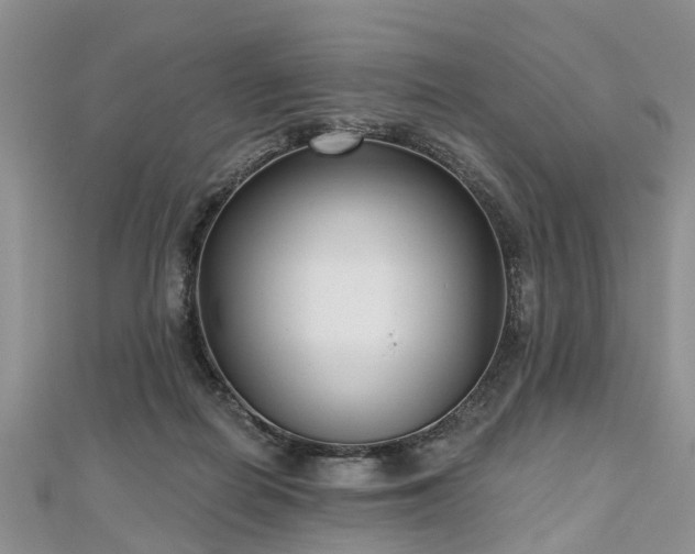 X0000112480266200908241300