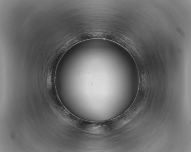 X0000112480267200908241300