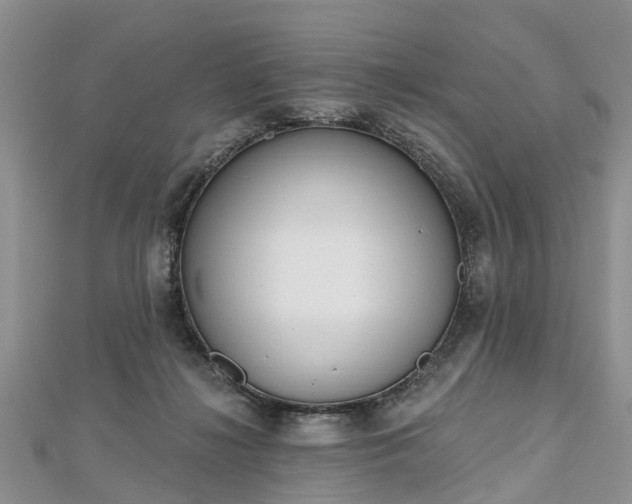 X0000112480268200908241300