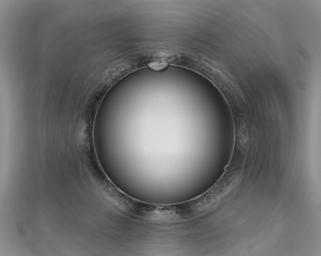 X0000112480270200908241300