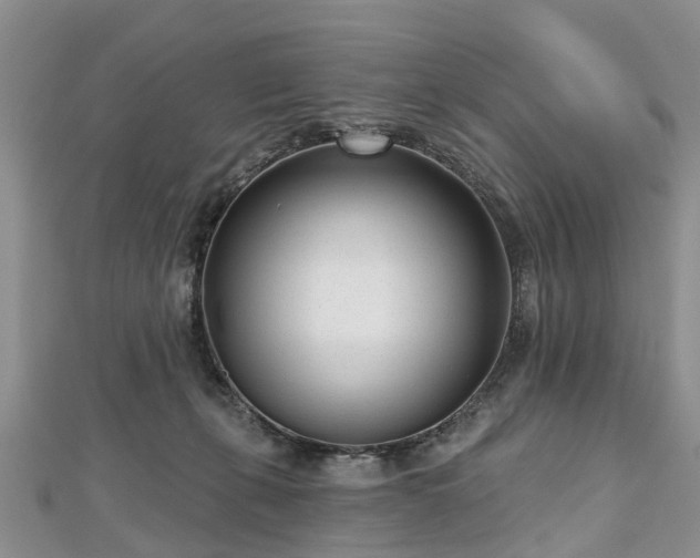 X0000112480271200908241300