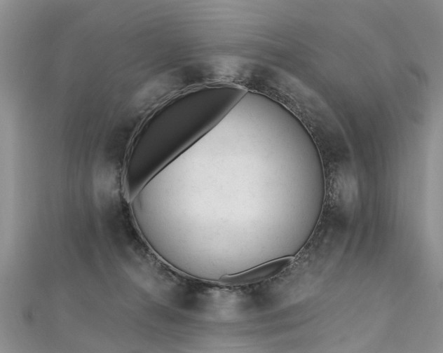 X0000112480272200908241300