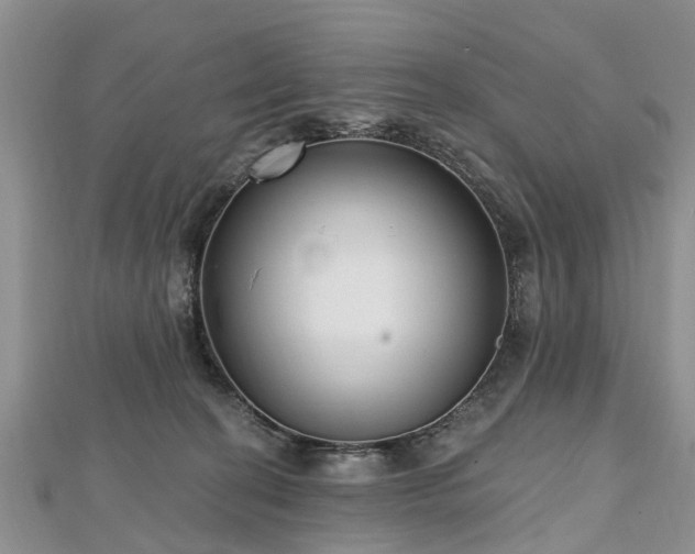 X0000112480274200908241300