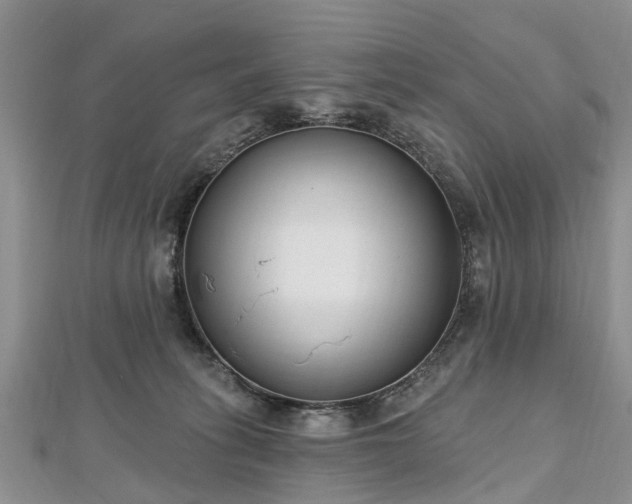 X0000112480275200908241301