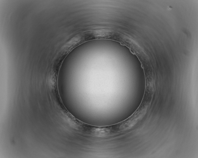 X0000112480277200908241301