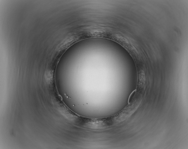 X0000112480278200908241301