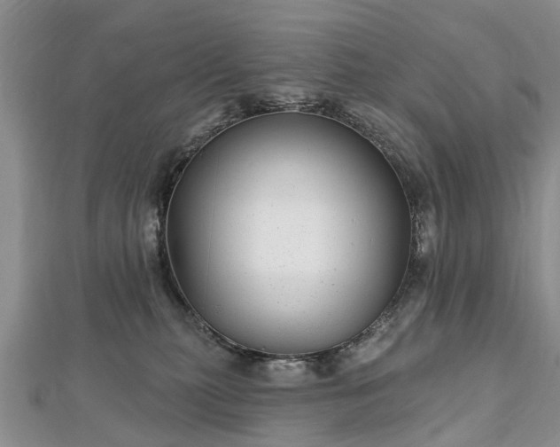 X0000112480279200908241301