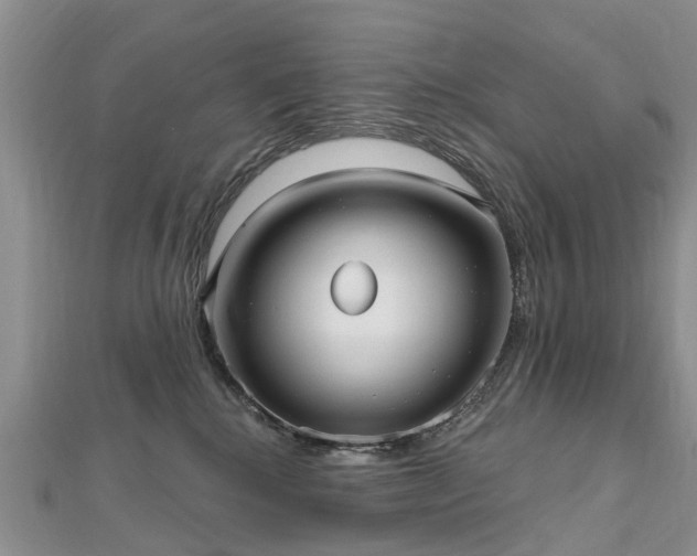 X0000112480280200908241301