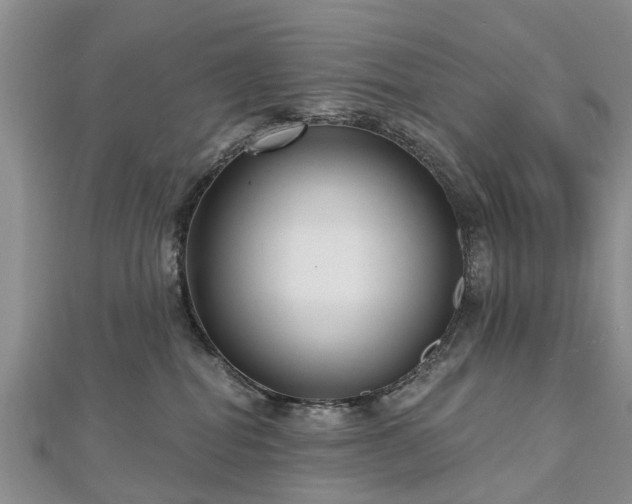 X0000112480282200908241301