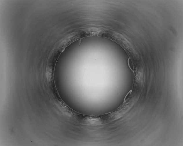 X0000112480283200908241301