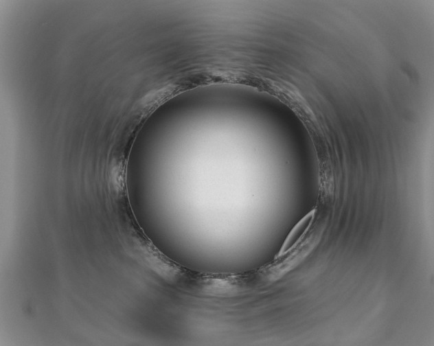 X0000112480285200908241301