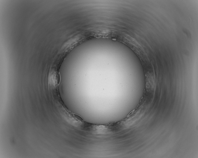 X0000112480287200908241301