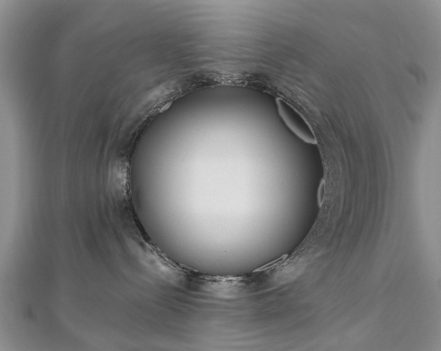 X0000112480288200908241301