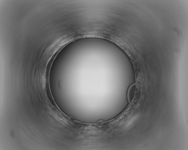 X0000112480290200908241300