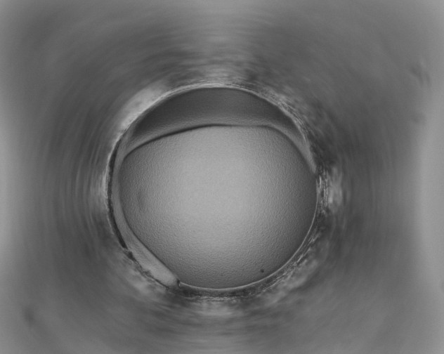 X0000112480292200908241300