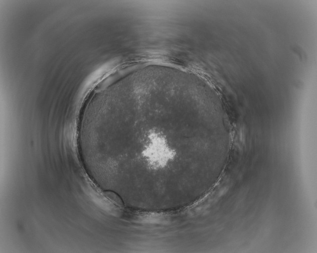 X0000112480293200908241300