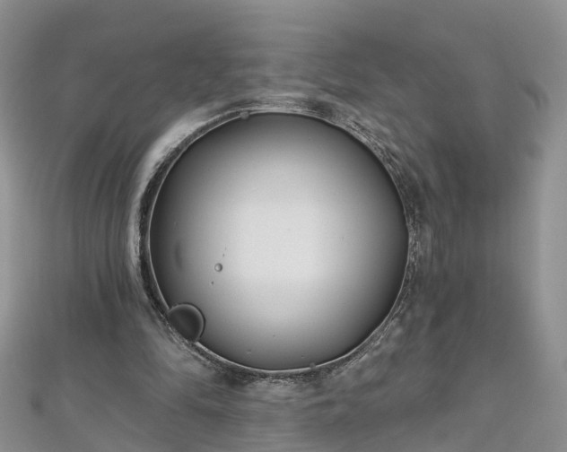 X0000112480294200908241300