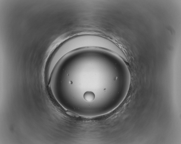 X0000112480296200908241300