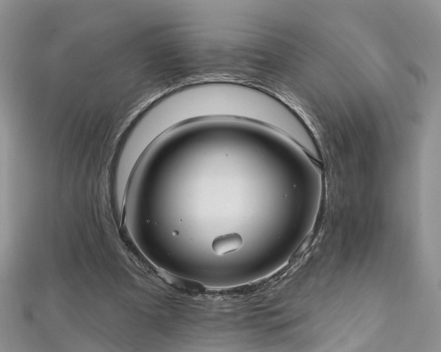 X0000112480297200908241300