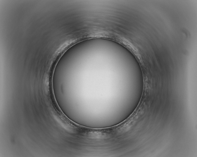 X0000112480298200908241300