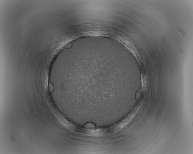 X0000112480301200908241300