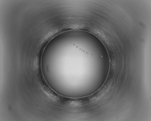 X0000112480303200908241300