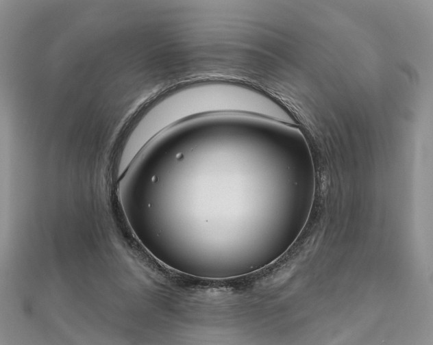 X0000112480304200908241300