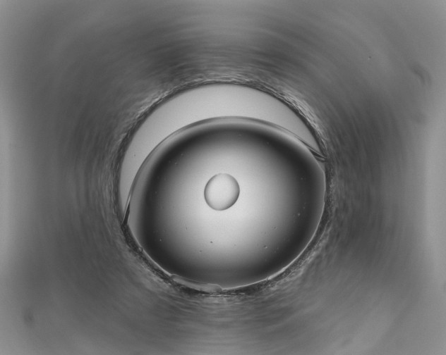 X0000112480305200908241300