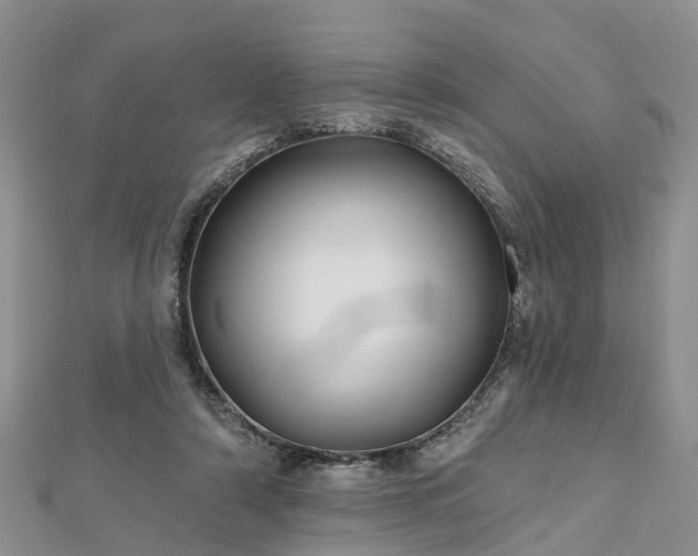 X0000112480306200908241300