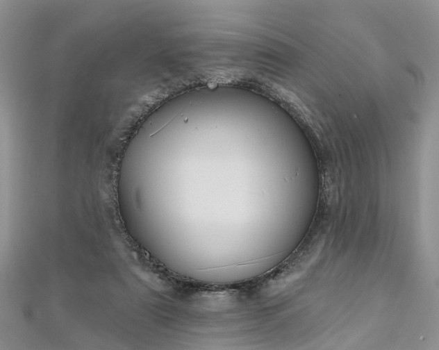 X0000112480307200908241300