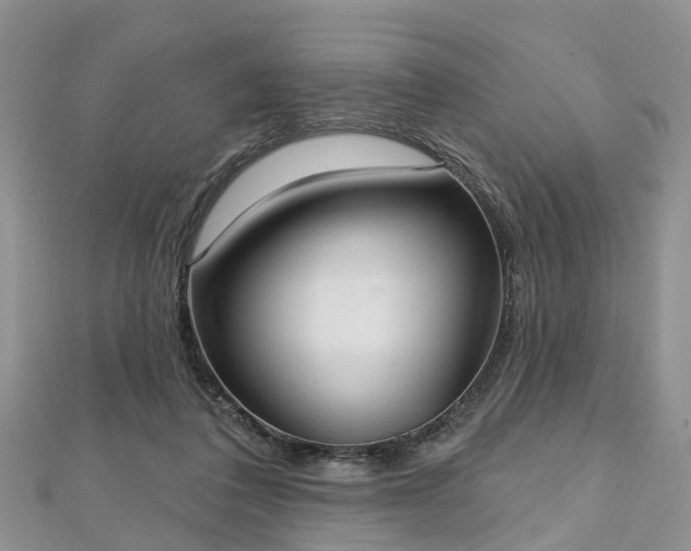 X0000112480308200908241300