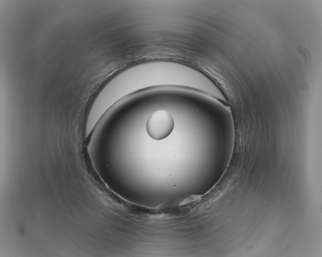 X0000112480309200908241300