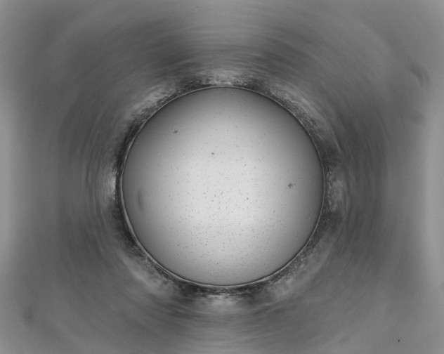 X0000112480310200908241300