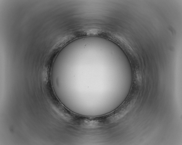 X0000112480311200908241300