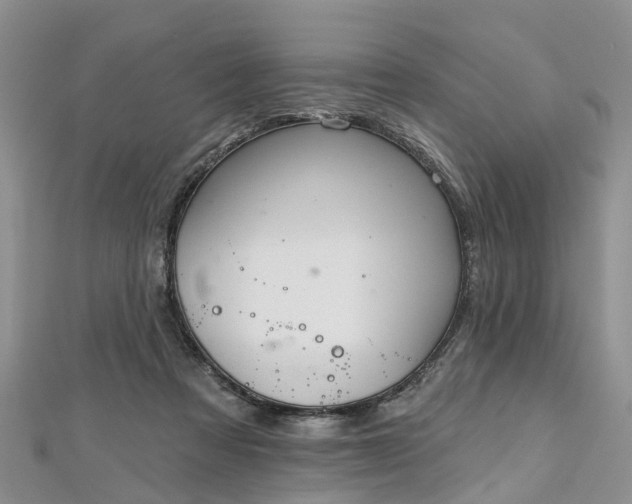 X0000112480313200908241300