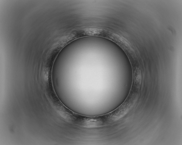 X0000112480315200908241300