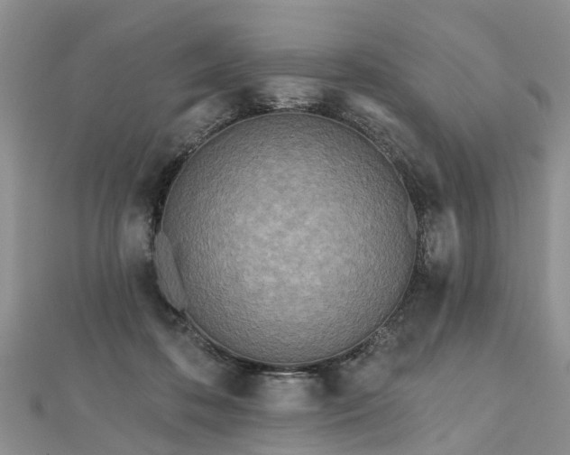 X0000112480316200908241300