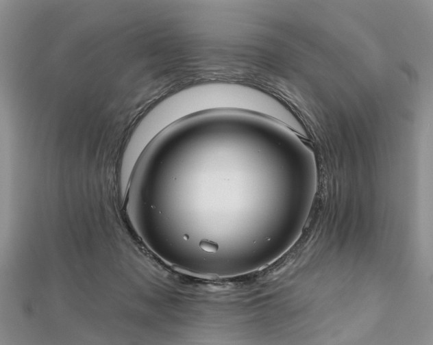 X0000112480317200908241300