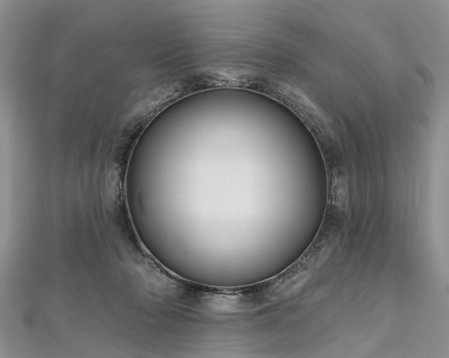 X0000112480318200908241300