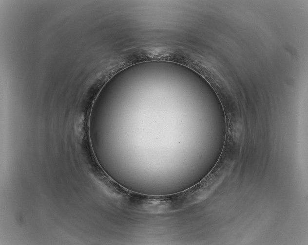 X0000112480319200908241300