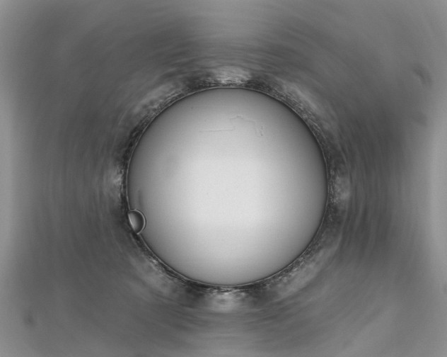 X0000112480321200908241300