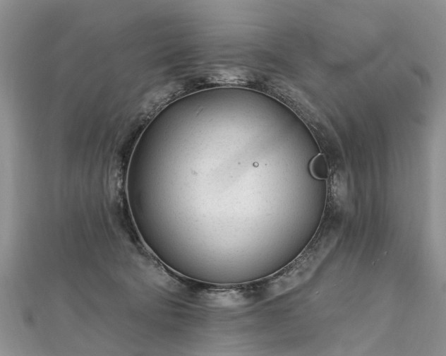 X0000112480322200908241300