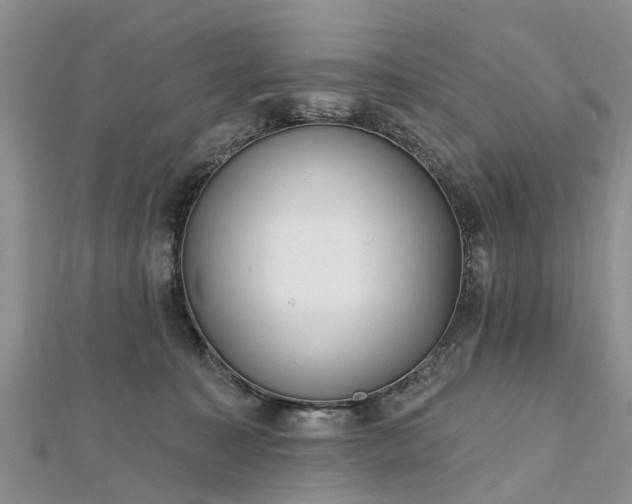 X0000112480323200908241300