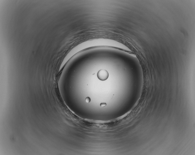 X0000112480328200908241300