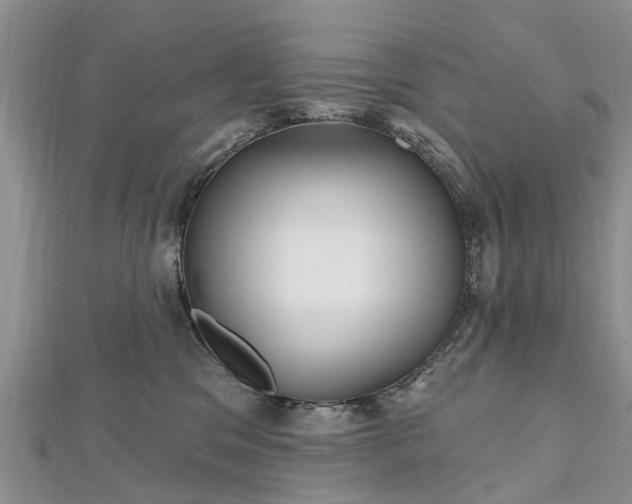 X0000112480329200908241300