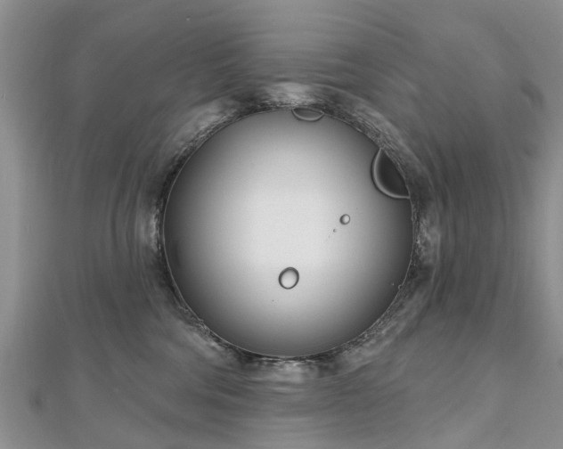 X0000112480330200908241300