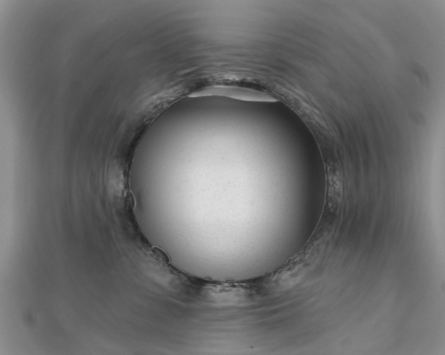 X0000112480331200908241300